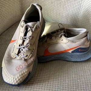 Men’s Nike Pegasus Trail runners